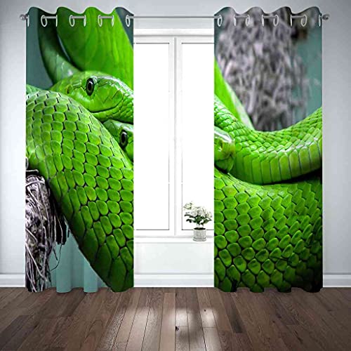 Rideaux occultants thermiques et phoniques serpent vert - 5