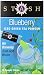 Stash Powdered Green Iced Tea, Blueberry, 10 Count
