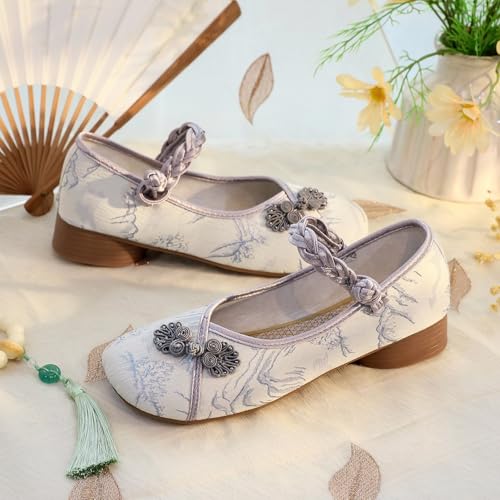 2025 Women's Elegant Low Chunky Heel Embroidered Shoes Chinese Style Cheongsam Hanfu Shoes Casual Comfort Ankle Strap Shoes Lightweight Work Vacation Shoes3