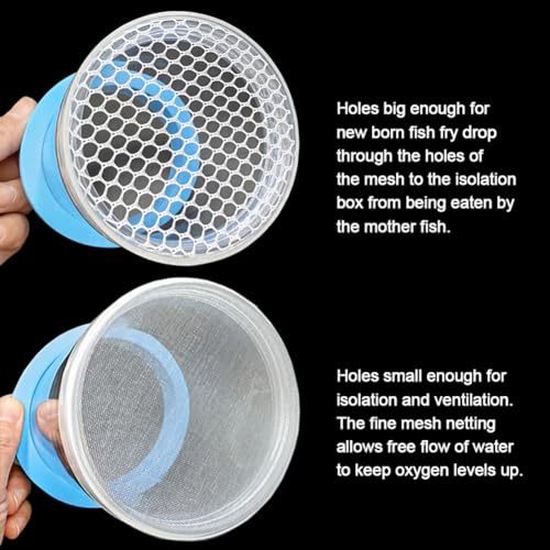 Image of Floating Fish Breeding Isolation Box for Aquarium Tank Plastic Mesh Hatchery Incubator Breeder Box for Baby Fish Betta Shrimp Clownfish Guppy (Blue, Large)