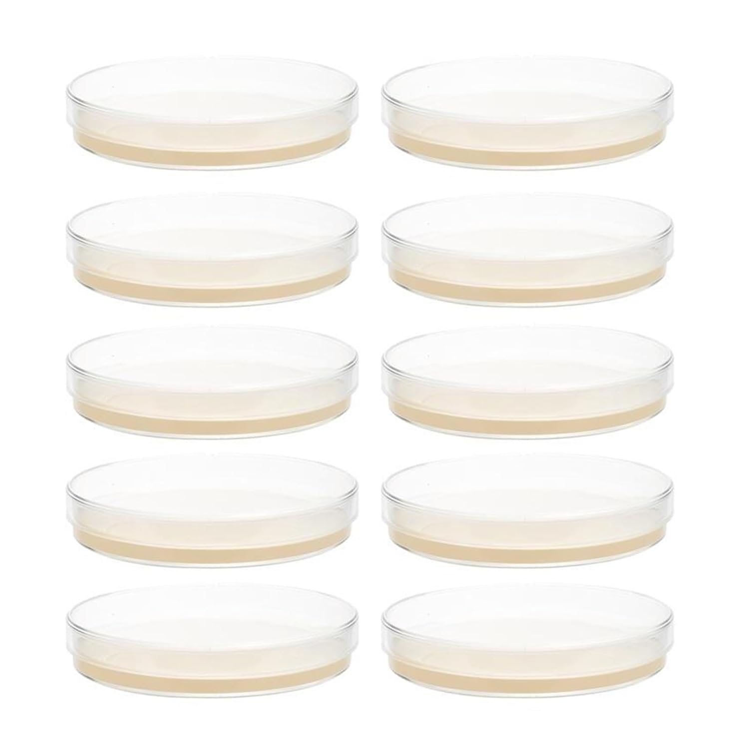HMFang 10pcs Petri Dishes with Agar Laboratory Agar Plates General Growth Medium
