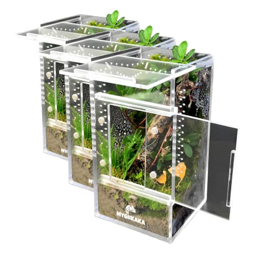 Image of MYGIIKAKA Jumping Spider Enclosure Accessories, Tarantula Spider Box, Bug Cage, Praying Mantis Habitat Enclosure, Snail Insect Terrarium, Caterpillar Habitat (3x3x6 inch) (Pack of 3)