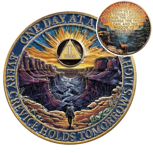 EXY 1 Year Sobriety Coin | Canyon Dawn Breaking Design | 3D Texture AA NA Medallions & Recovery Chips | Anniversary Sobriety Gift Set with Token Capsule Stand & Card for Men Women
