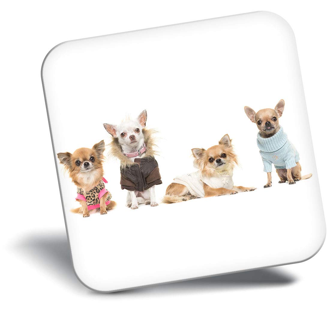 Destination Vinyl Ltd Fridge Magnet - Chihuahua Dog Puppy Group 8131-2