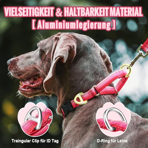 Arblina Martingale Hundehalsband, Reflektierendes Zugstopp Halsband Hunde für Große Mittlere und Kleine Hunde, Nylon Zughalsband mit Stopp für Hunde Whippets, Greyhounds, Saluki, Rosa,S
