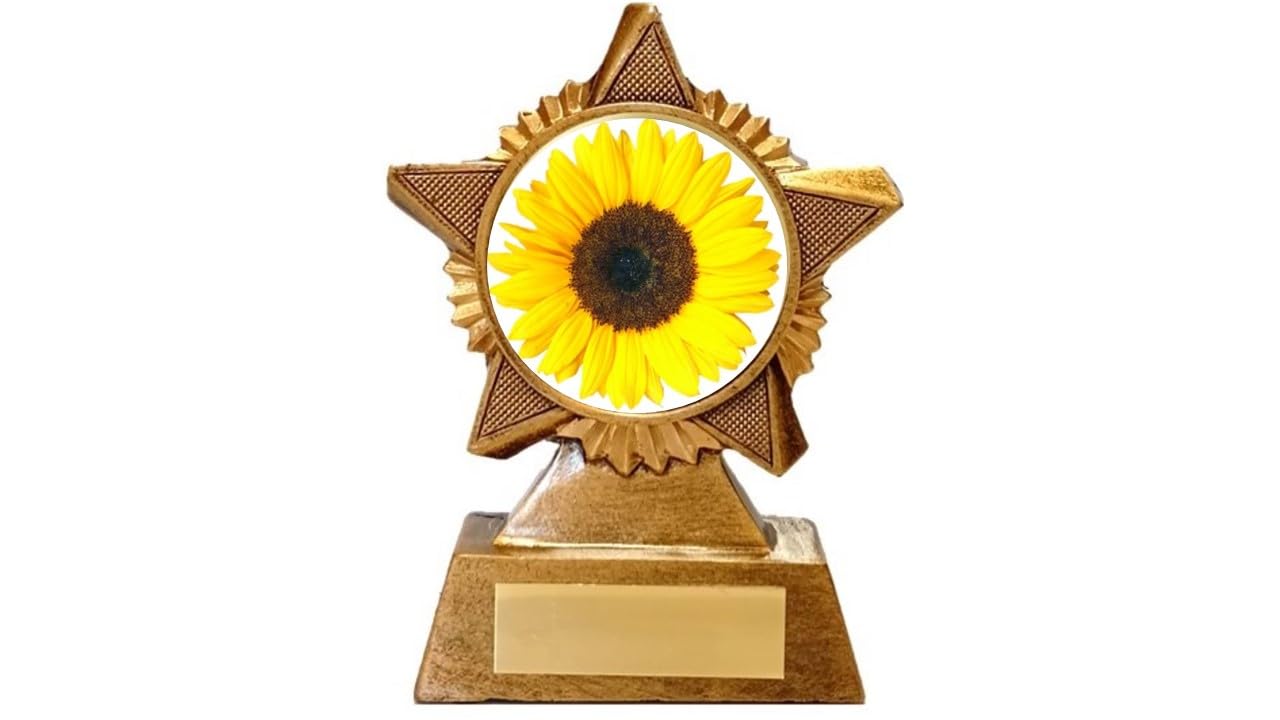 Troshow Antique Gold Sunflower Trophy Award Premier Star 120Mm Heavy Resin Free Engraving -Troshow1-A