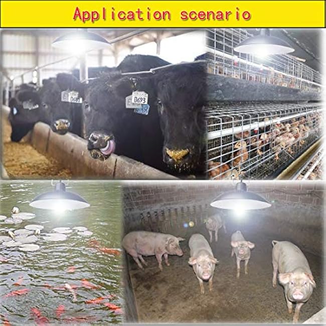 Solar Pendant Lights Double Bulb Lights Dual Lamp