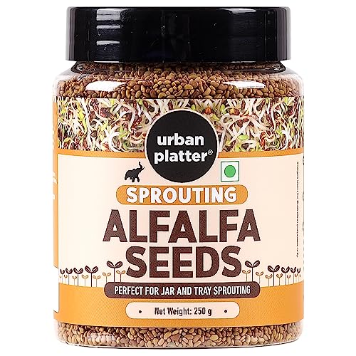 Urban Platter Alfalfa Sprouting Seeds | Rich in Fiber & Protein | Perfect for Fresh Sprouts, Salads, Sandwiches & Smoothies | 100% Natural, Non-GMO & Preservative-Free | 8.82 Oz (250g)