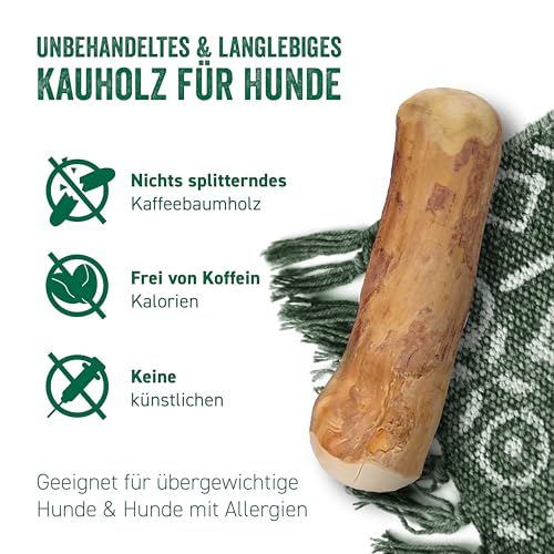 GOODWOOD - Kauknochen S (3er Set) - Kaffeeholz - für kleine Hunde - natürliche Zahnpflege, beugt Zahnstein & Zahnfleischerkrankungen vor - 100% natürlich & koffeinfrei - vegan