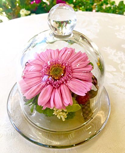 Amazon プリザーブドフラワー ガーベラドーム ピンク プリザーブドフラワー オンライン通販