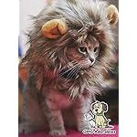 OMG Adorables Traje Melena de león para Gatos Suave,Peludo Peluca del Animal doméstico con oídos Lindos Se Adapta a los felinos Adultos y Perros pequeños 4 OMG Adorables Traje Melena de león para Gatos Suave,Peludo Peluca del Animal doméstico con oídos Lindos Se Adapta a los felinos Adultos y Perros pequeños