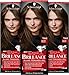 Brillance Glanz-Tönungsgel 862 Naturbraun Stufe 1 (3 x 60 ml), intensive Fashion-Haarfarbe mit glanzverstärkender Formel, Tönung verleiht dem Haar bis zu 50 % mehr Farbglanz