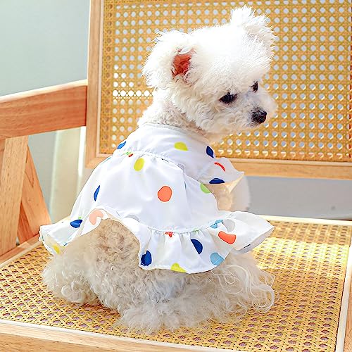 Disfraz para perros vestido de cumpleaños talla S miniatura 6