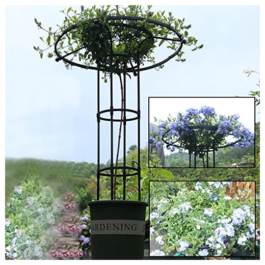 Pongnas Flower Climbing Rack - Proof and Garden Decorative Shelf - Assembled Plant Growing Rack for Garden Aesthetics and Plant Cultivation (6)