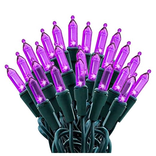 Joiedomi Purple LED Green Wire 100-count Christmas Light, Purple LED Lights for Indoor/Outdoor Christmas Decorations