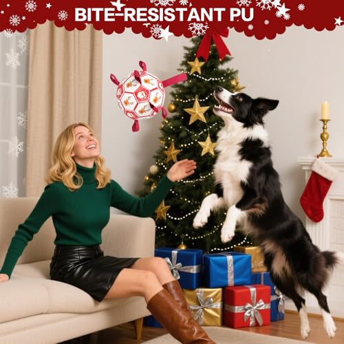 KYLIINSURE Hundefußball,Hundespielzeug Ball mit Griff und Pumpe,Interaktives Haustierspielzeug,Premium Hundefußball Spielzeug für Mittlere Große Hunde Indoor & Outdoor Unterhaltung(18.5cm/7.28in)
