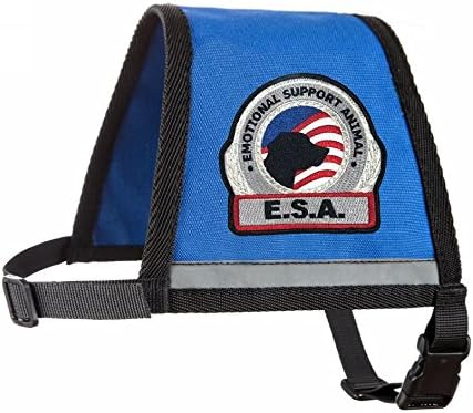 labrador retriever sheet sets