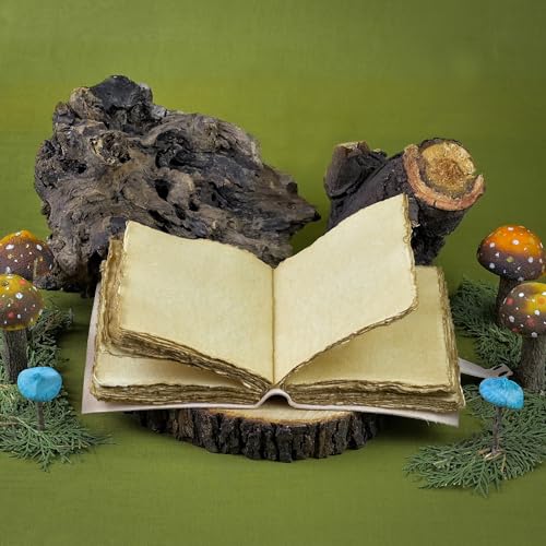 Vintage-Mushroom-Journal-Aesthetic-Botanical-Themed-Notebook-Beautiful-Retro-Book-of-Shadows-Journal-Sketchbook-Cute-Mushroom-Gifts-Women-Grimoire-200-Pages