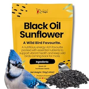 Chirp & Maple, Black Oil Sunflower, Wild Bird Food, 750g (1.65LB) Bag