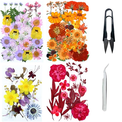Cayway 4 Pack Pressed Flowers Natural Dried Flowers Colorful
