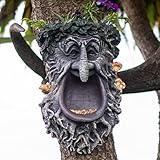 Tree Face Birdfeeder | Old Man Tree Bird Feeder with Planter | Fun Tree Faces Decor Outdoor | Garden Whimsical Decorations | 10 x 7 inches