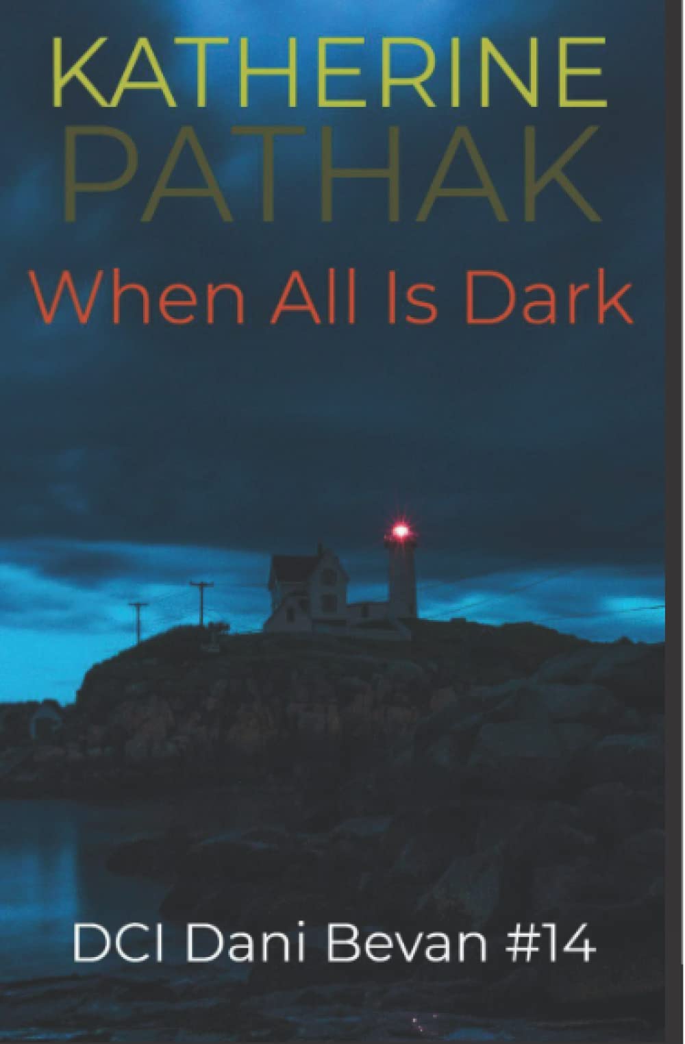 When All Is Dark: 14 (The DCI Dani Bevan Detective Novels)