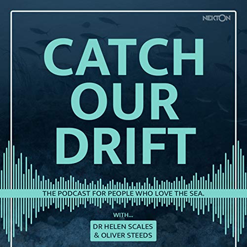 Catch Our Drift Catch Our Drift Amazon.in Audible Books & Originals