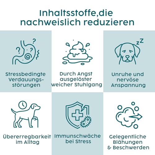 Zanipro Beruhigung für Hunde – Probiotika Hund mit L-Tryptophan, Anti-Stress Hund Pulver bei Angst bei Hunden, Silvester Hund Beruhigung & Autofahrt, entspannende Unterstützung – Rindgeschmack, 100 g
