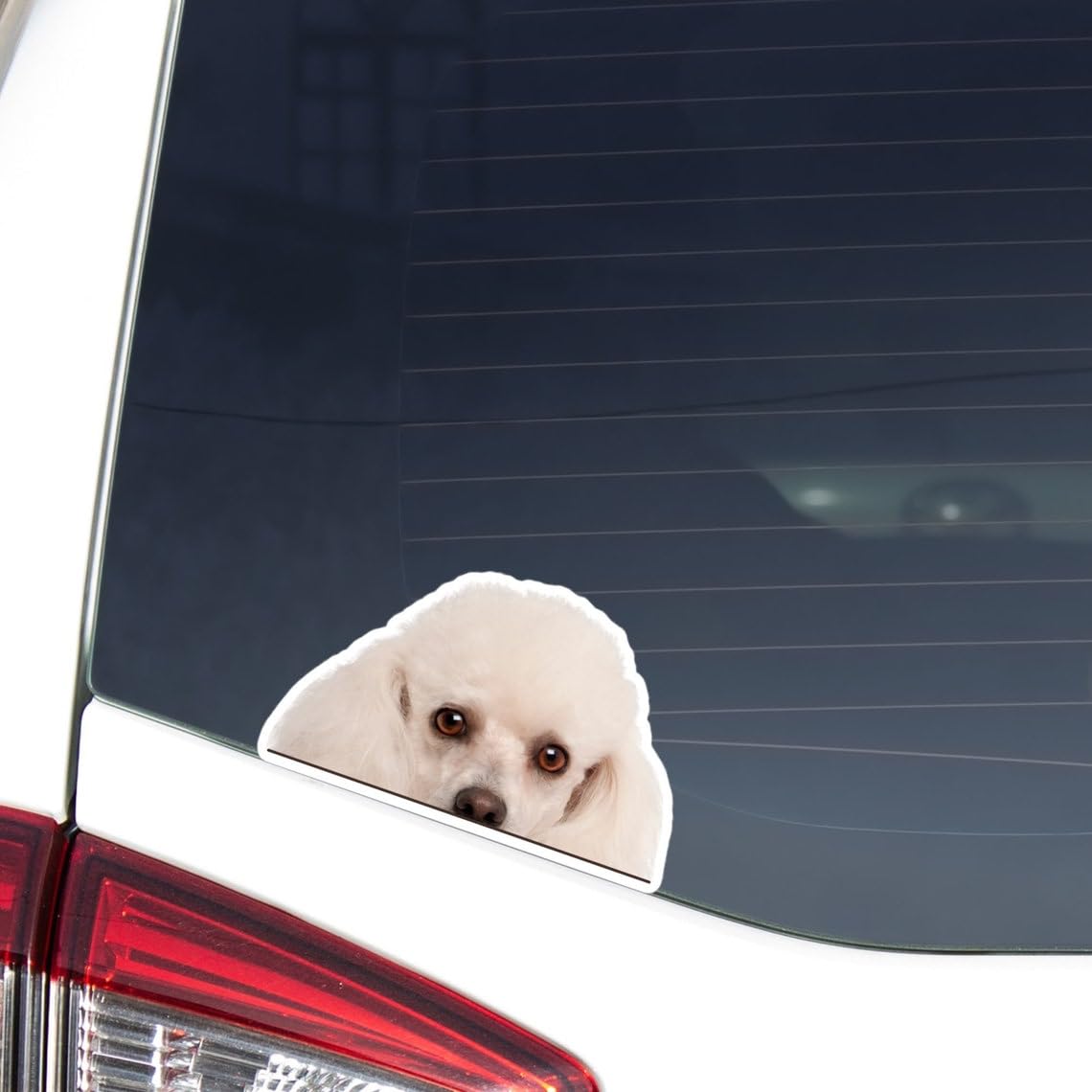Custom Poodle Dog Car Decal – Glossy Vinyl Sticker With Personalized Name