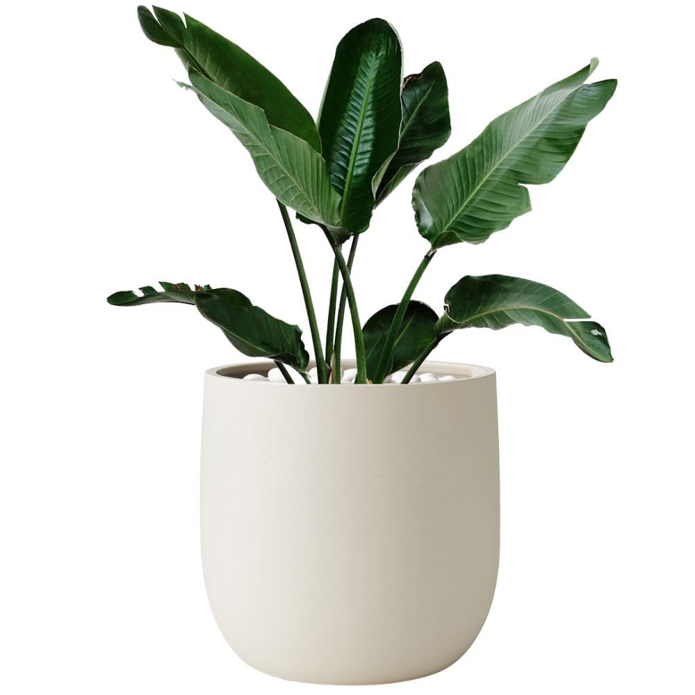 Gartenpflanze Fero Pflanztopf für Wohnzimmer und Terrasse, aus Polyethylen, wetterfest, modernes Design (Beige, 40x40 cm)