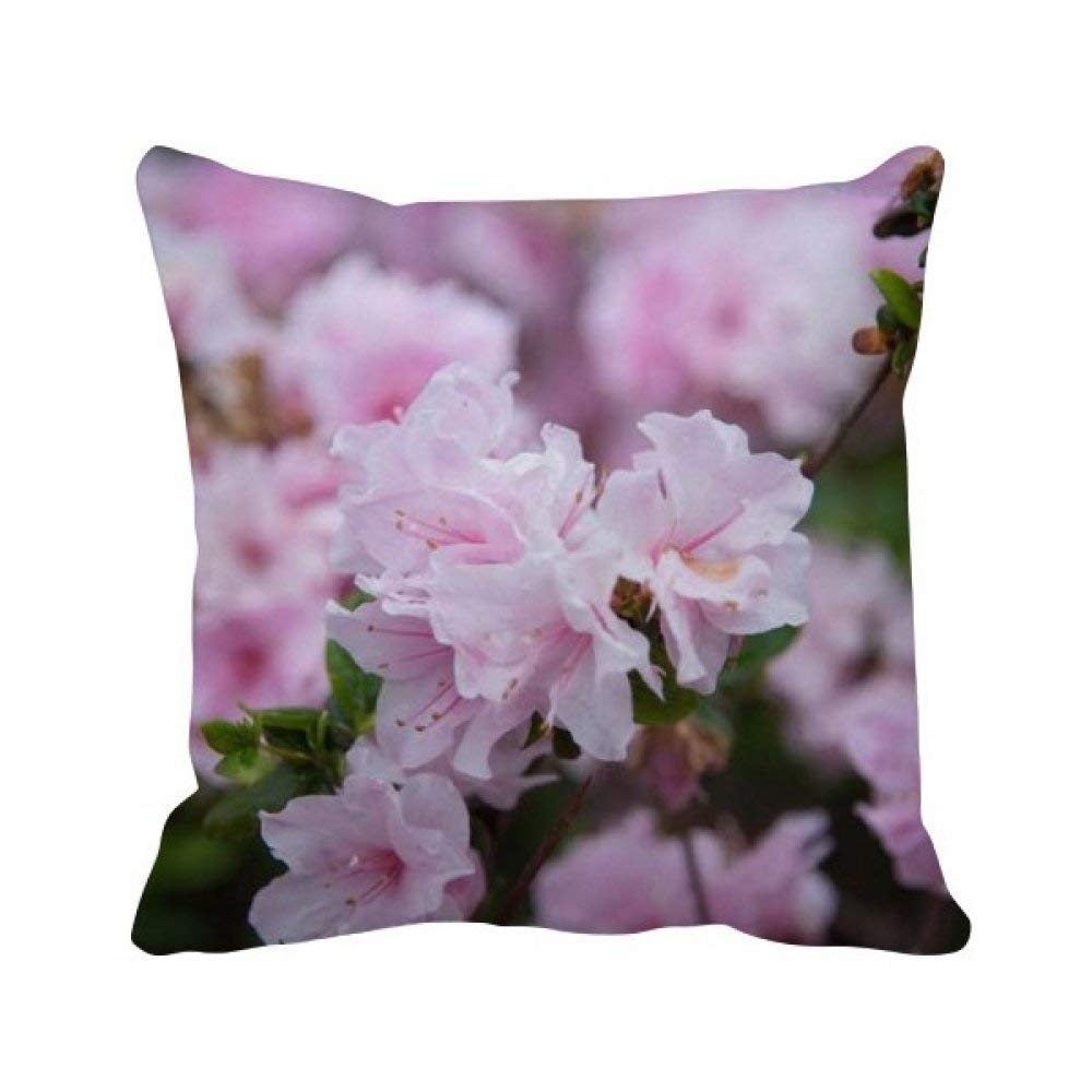 Coussin carré blanc et rose 40x40 cm avec motif de belles fleurs pour décorer le canapé