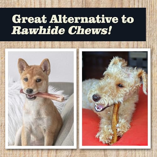 Redbarn All Natural 5-8” Bully Sticks for Small & Large Dogs – Healthy Long Lasting Chews Variety Party Pack – 100% Beef Single Ingredient Low Odor Rawhide Free Dental Treats – 8 oz Bag Redbarn All Natural 5-8” Bully Sticks for Small & Large Dogs – Healthy Long Lasting Chews Variety Party Pack – 100% Beef Single Ingredient Low Odor Rawhide Free Dental Treats – 8 oz Bag