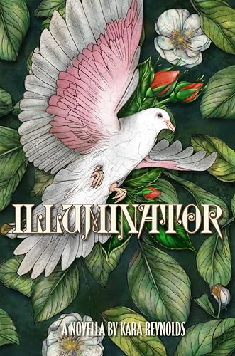 Illuminator (Gods of Tintar) (English Edition)