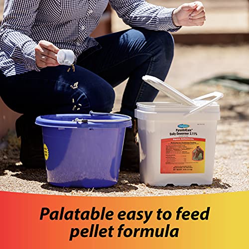 Farnam Pyrantelcare Daily Horse Dewormer 2.11% (Pyrantel Tartrate) For Horses Of All Ages, Equine Anthelmintic, Continuous Protection Against Small Stronglyes, Ascardis And Pinworms, 10 Lbs #TOP2