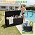 Greesum 82 Gallon Resin Deck Box Large Outdoor Storage for Patio Furniture, Garden Tools, Pool Supplies, Weatherproof and UV Resistant, Lockable, Black