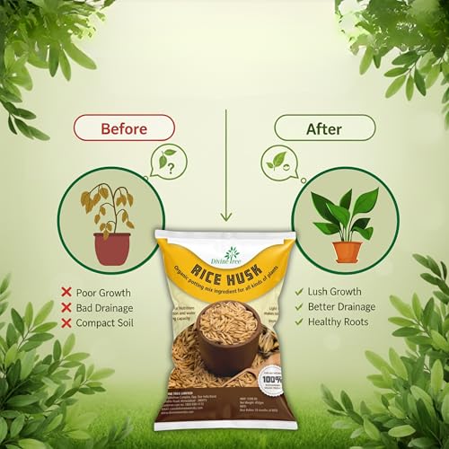 Image of DIVINE TREE Organic Rice Husk for Plants | Paddy Husk Soil Conditioner & Potting Mix Additive for Gardening | Improves Aeration, Drainage & Water Retention | Natural Mulch (450gram)
