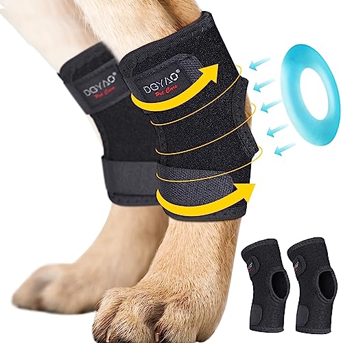 DGYAO Dog Knee Support Hind Leg Brace for Elbow Wrist Protector,Reduce Sprains Injury Comfortable and Breathable,Adjustable Arthritis Relieve Pain Full Wrap Pad (Pair) XL