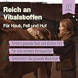 Ida Plus - Bierhefe Bt - 6kg - Futterergänzung für Pferde & Ponys - für glänzendes Fell & kräftige Haut - unterstützt Verdauung & Darmflora - reich an B-Vitaminen, Mineralien & Spurenelemente