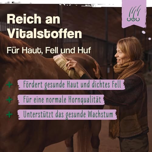 Ida Plus - Bierhefe Bt - 6kg - Futterergänzung für Pferde & Ponys - für glänzendes Fell & kräftige Haut - unterstützt Verdauung & Darmflora - reich an B-Vitaminen, Mineralien & Spurenelemente