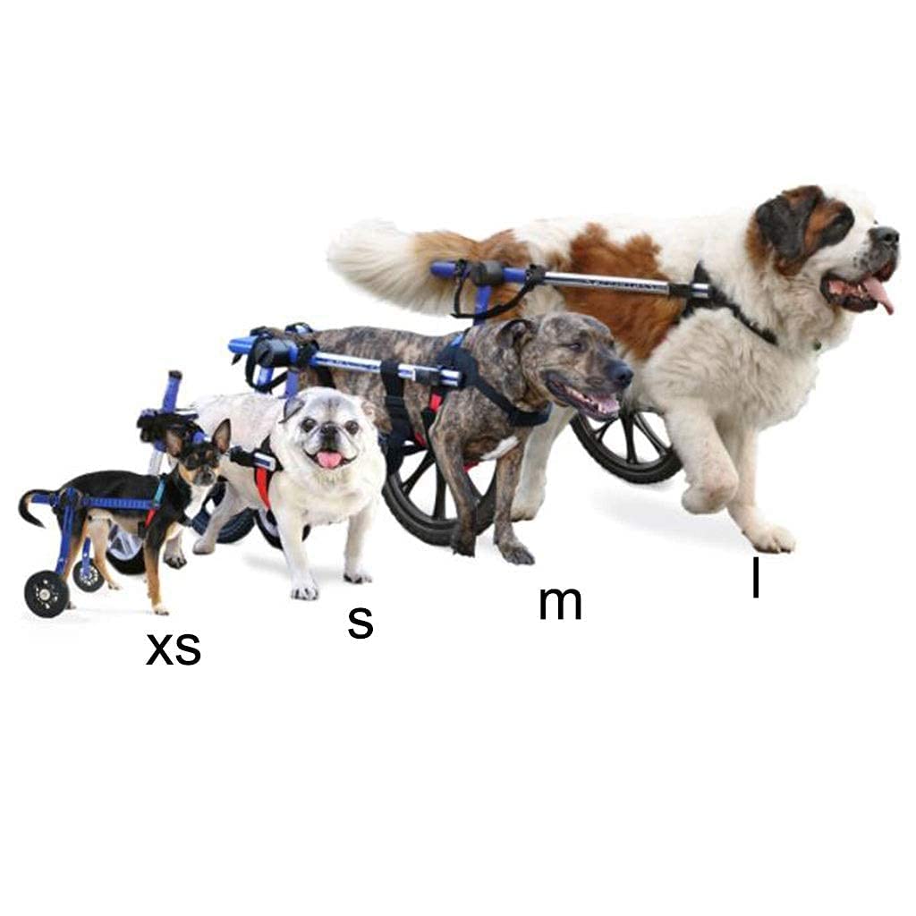 Amazon.co.jp: この犬用車椅子は、高さ、長さ、幅を調整して、ペットが