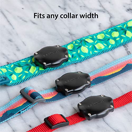 TagVault Pet (2 Pack) - The Original AirTag Dog Collar Waterproof Mount, Ultra-Durable, Fits All Width Collars… - Image 6