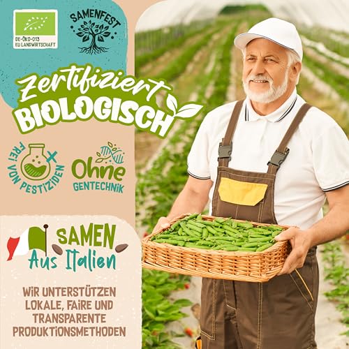 ZenGreens® - Bio Kresse Sprossen Samen - Wähle zwischen 10g, 200g und 500g - Kresse Samen - Keimrate von über 96% - Bio Saatgut zum Keimsprossen ziehen - wiederverschließbare Verpackung