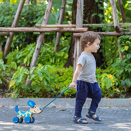 Lapangzi Pull Along Walking Toys For 1 Year Old Boy Girl Gifts Outdoor Wooden Walking Dog Toy Birthday Gifts Montessori Toys For Baby Toddler 1-3 #TOP2