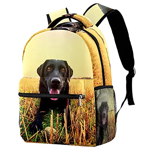 Sac à dos voyage noir anti-encombrement avec porte-bouteille et motif Labrador