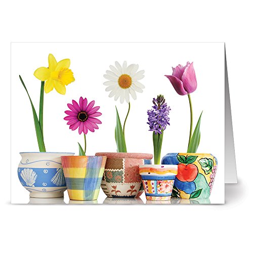 Note Card Cafe All Occasion Greeting Cards with White Envelopes | 24 Pack | Bloom Where You're Planted Design | Blank Inside, Glossy Finish | for Greeting, Spring, Set, Note, Gift, Bulk