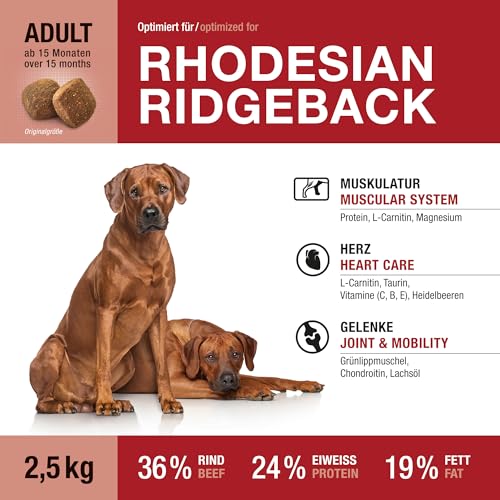 Wildsterne Rhodesian Ridgeback 2,5 kg