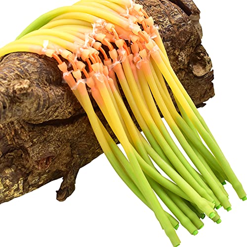 Runzkzy Hunting Slingshot Bands, 20Pcs Professional Slingshot Replacement Bands Tubular, Catapult Slingshot Rubber Tubing for Shooting Fish Dart, Elastic Tube Rubber Band for Hunting (Set B-3060)