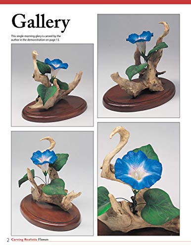 Carving Realistic Flowers, Revised Edition: Morning Glory, Hibiscus, Rose: Ready-to-Use Patterns, Step-by-Step Projects, Reference Photos (Fox Chapel Publishing) - Image 4