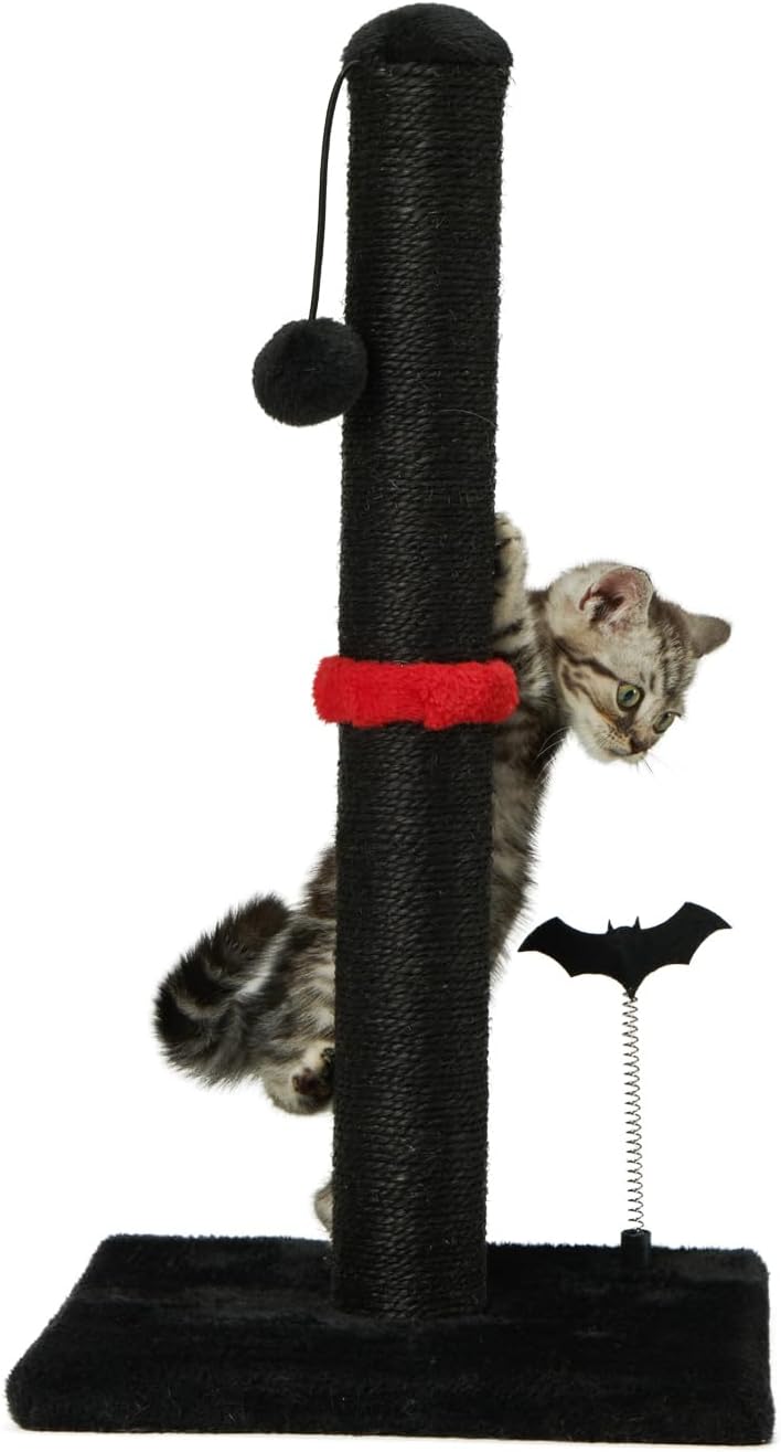 MECOOL Cat Scratching Post Premium Sisal Scratch Posts with Hanging Ball Vertical Scratcher for Indoor Cats and Kittens,Black 22 inches for kitten Black