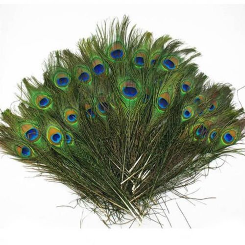 Fangfang 20 Pcs Natural Peacock Feathers With Eyes 10-40 Inch #TOP27